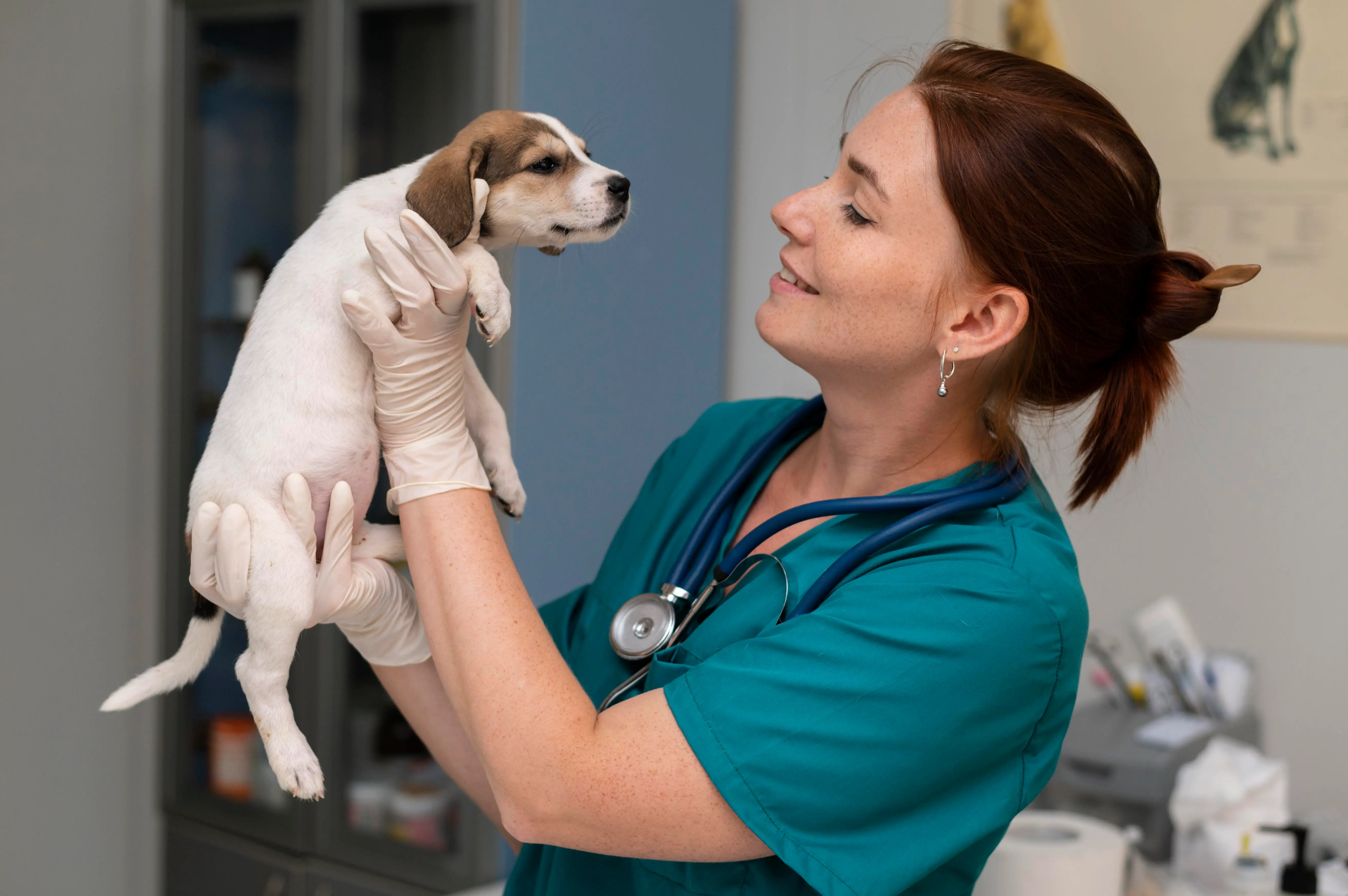 Veterinaria sonriendo mientras sostiene un cachorro en la clínica